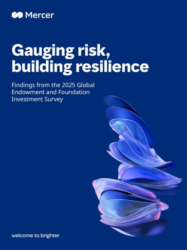 Onderzoeksrapport Mercer Endowments and Foundations 2025