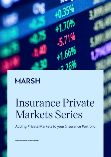 Cover image of the Insurance Private Market Series paper