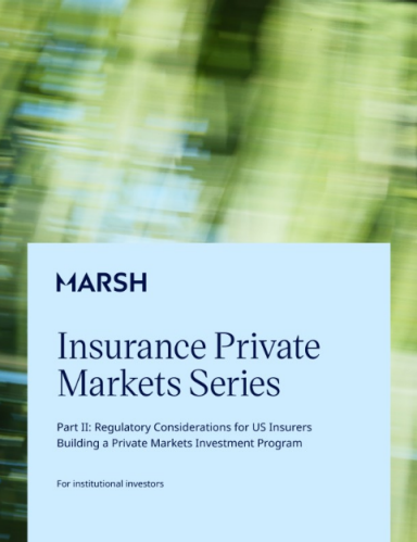 Cover image of the Insurance Private Market Series paper
