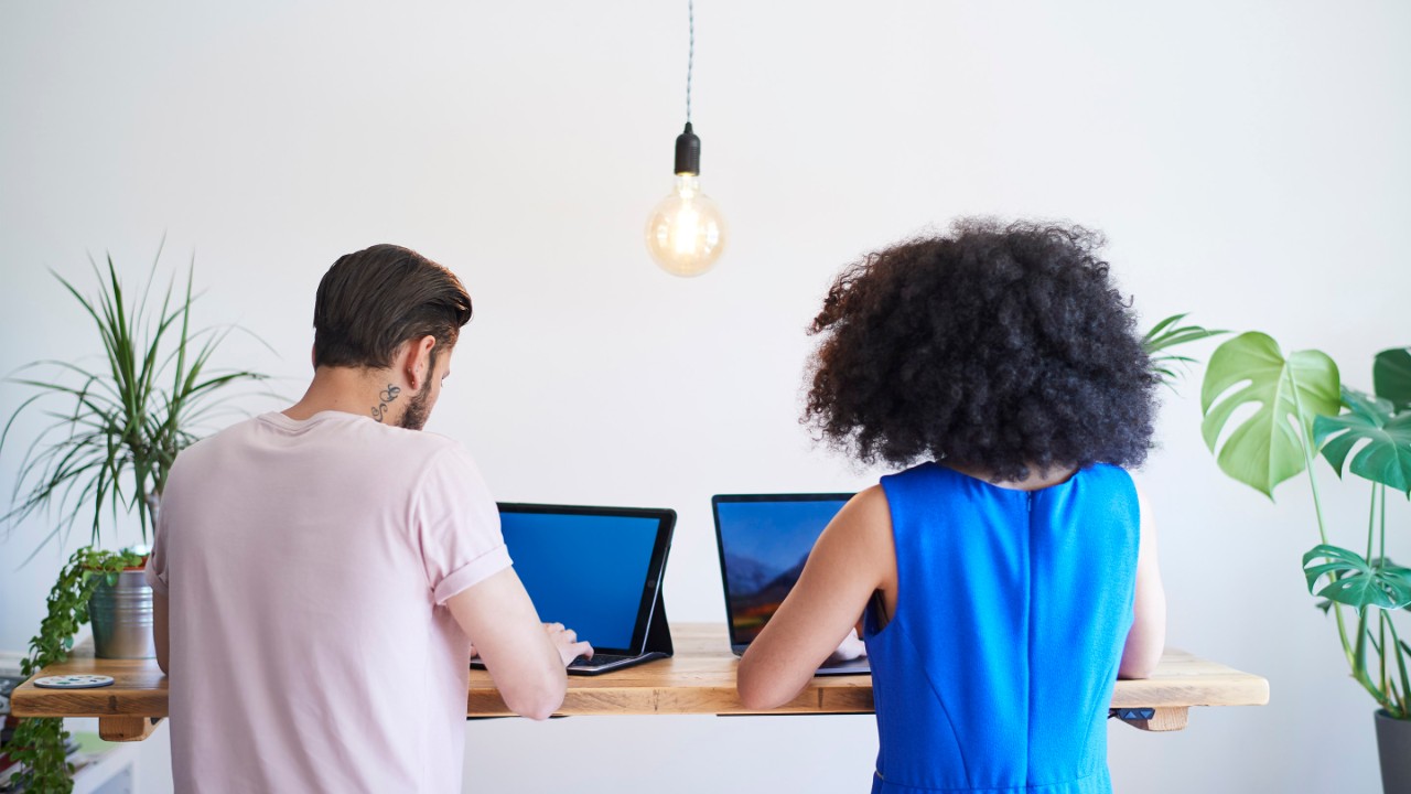 Junges Kreativteam arbeitet in einem modernen, nachhaltigen Büro an Laptops mit Rücken an der Kamera.