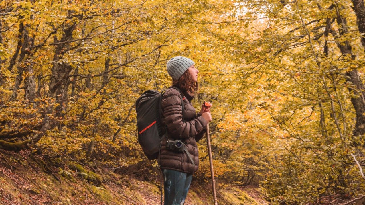 Lady in hat and ski jacket with knapsack and walking stick on footpath between autumn forest in Isoba, Castile and Leon, Spain