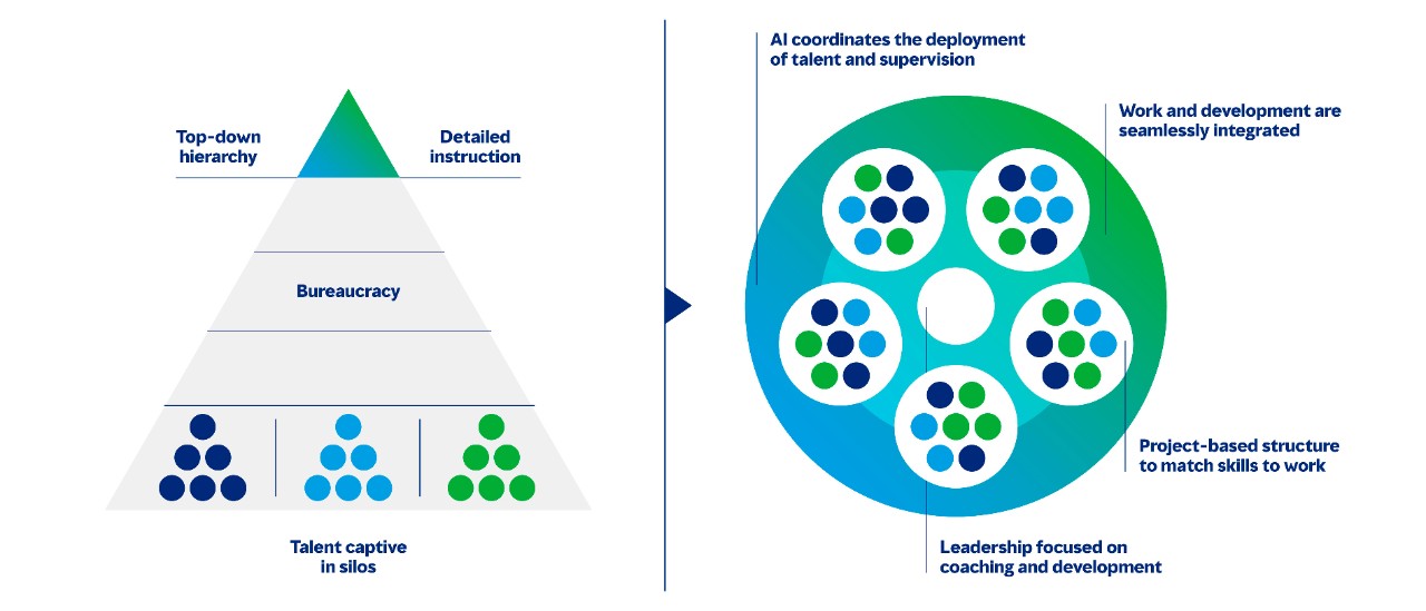 Designing for agility infographic