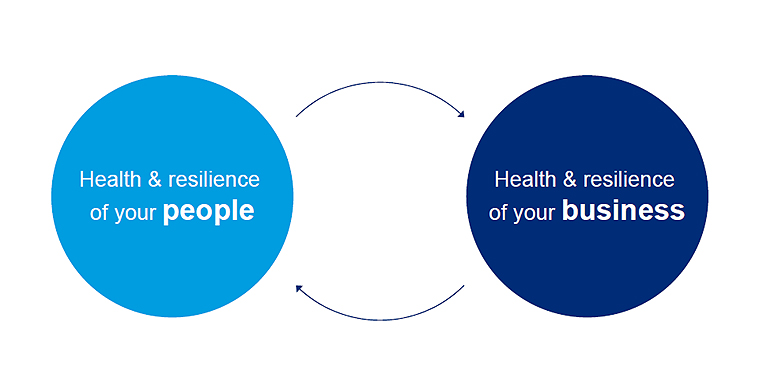Health and resilience schematic chart 763x367