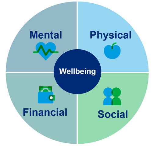 A circular graph showing the four dimensions of wellbeing: physical, mental, financial and social.