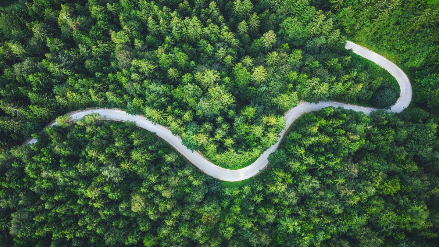 Birds eye view of a winding road through a forrest terrain 