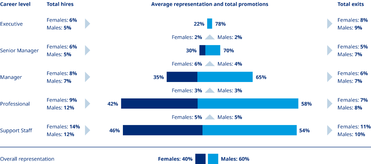 This graphic shows an example of an internal labour market map. An ILM map for the organisation visualises the talent flows of that workforce across career levels: executive, senior manager, professional and support staff. The map shows the total percent of hires at each of these levels, broken down by males and females. The data component shows average representation and total promotions by males and females. In this example, there is a steady decline of female representation as career level rises. Average representation at support staff is 46% for females and 54% for males; professional is 42% for females and 58% for males; manager is 35% for females and 65% for males; senior manager is 30% for females and 70% for males. At the executive level, female representation is 22% and male is 78%. The last data category shows total exits at each career level by females and males.