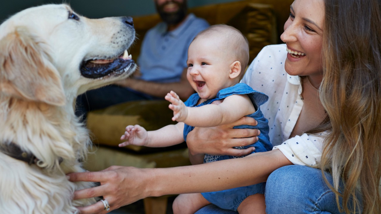Mother and new born baby playing with Puck dog, father in background