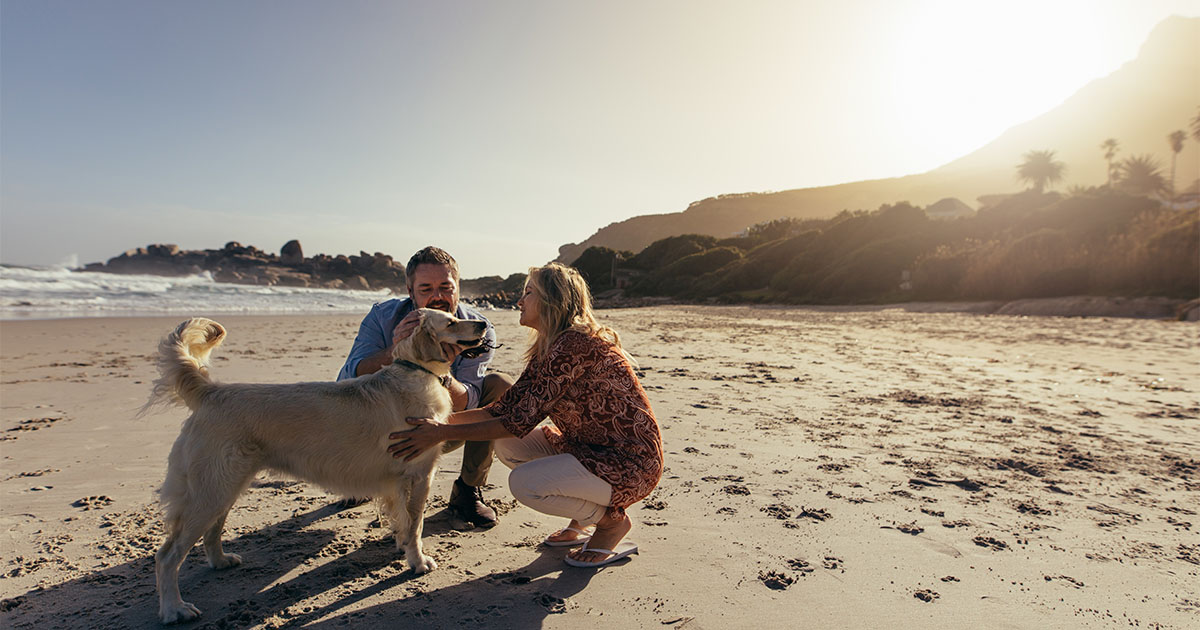 Senior couple with pet dog on beach, sand, sun, man, woman; beach;caresses;coast;couple;day;dog;family;female;lifestyle;love;male;man;mature;outdoors;people;pet;playing;puppy;real;retirement;sand;sea;seashore;senior;space;summer;sunlight;sunny;together;two;vacation;woman