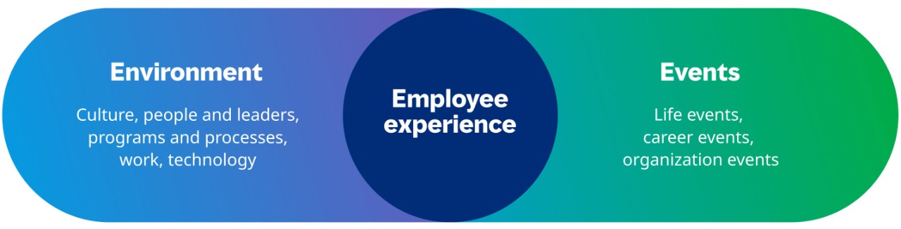 Employee experience infographic
