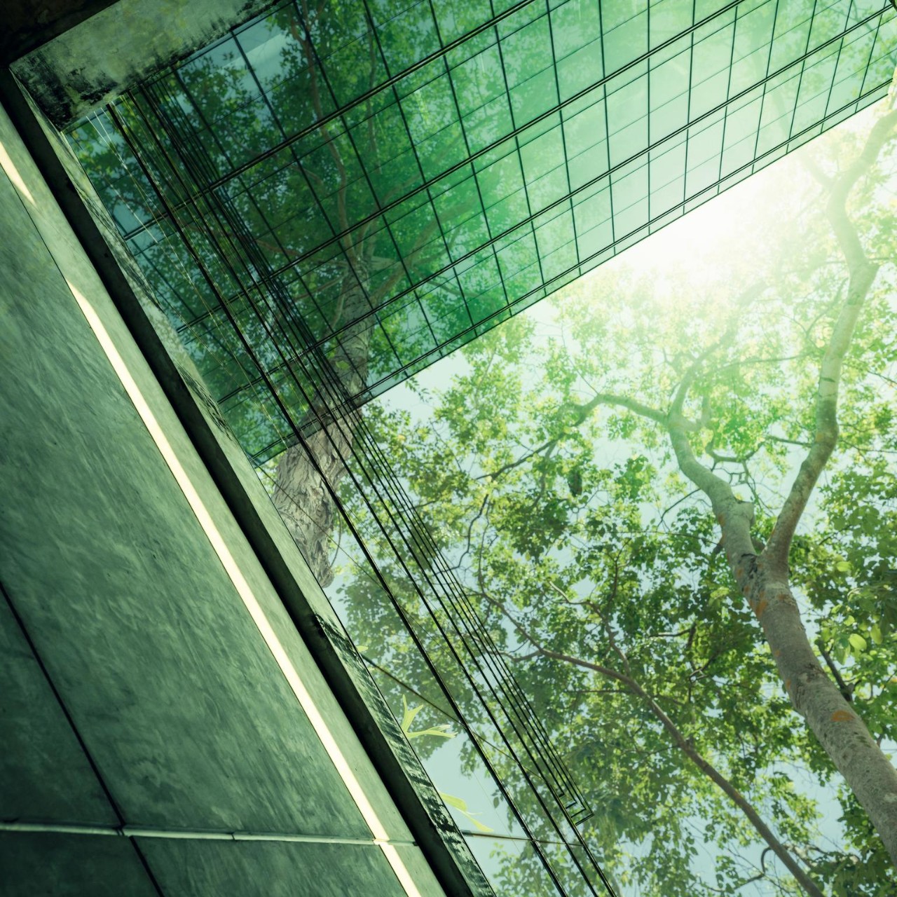Understanding Physical Climate Risks in Portfolios