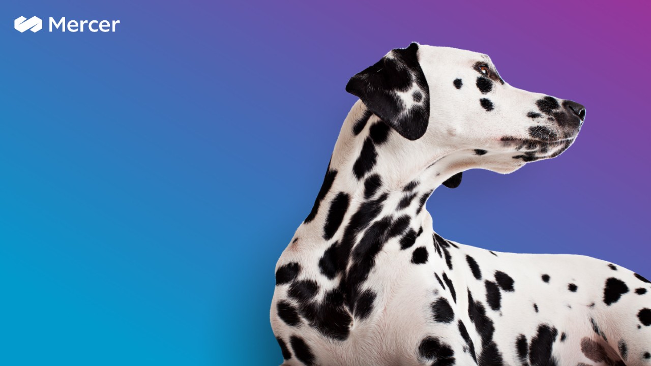 Dalmatian dog on a blue to purple gradient background