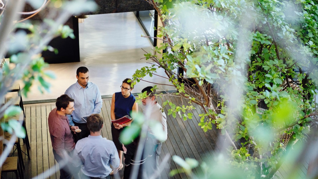 Network office gathering