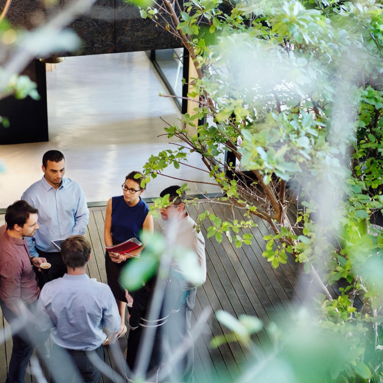 Network office gathering