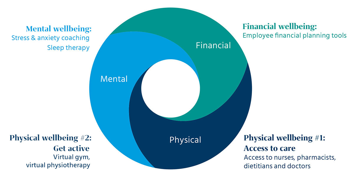 roue de la santé physique et financière des employés