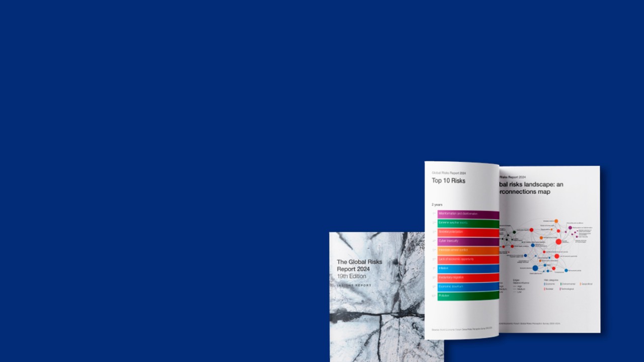 Global Risk Report